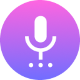 Voice Recorder